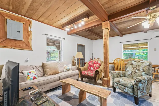 a view of a yard with plants and trees