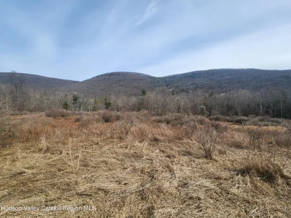 a view of a dry yard with mountains in the background