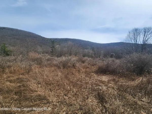 a view of a dry yard with mountains in the background