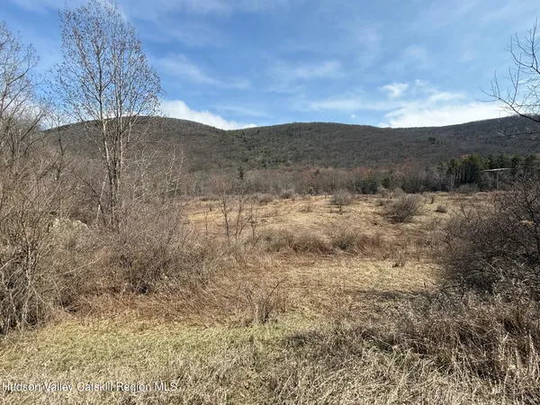 a view of mountain and tree