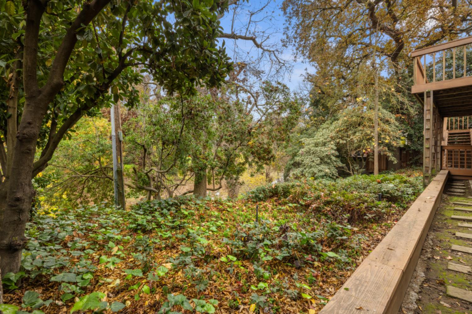 218 Brook Way Modesto, CA 95354 - Photo 52 of 55