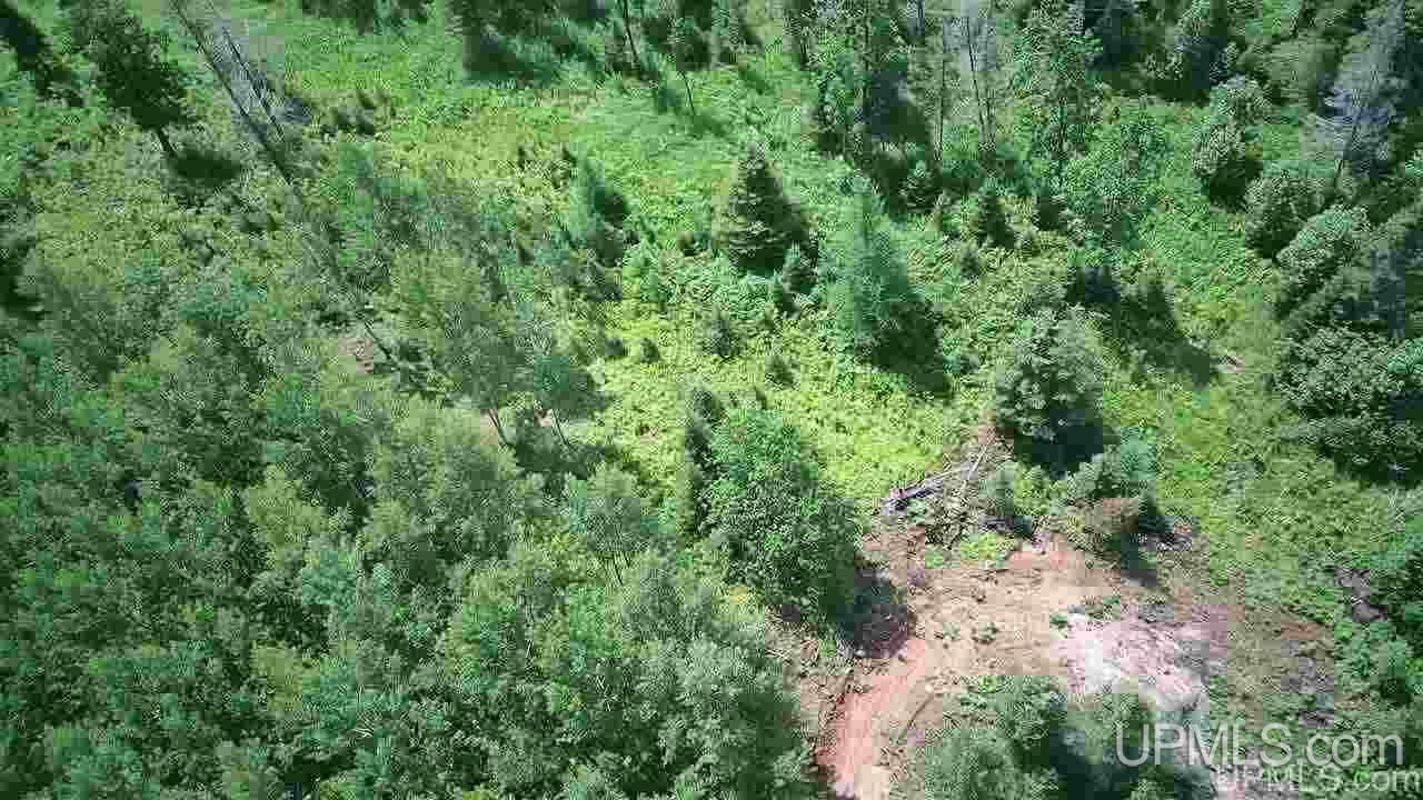 Tbd Off Nowack Road, Unit 1 Powers, MI 49874 - Photo 11 of 32