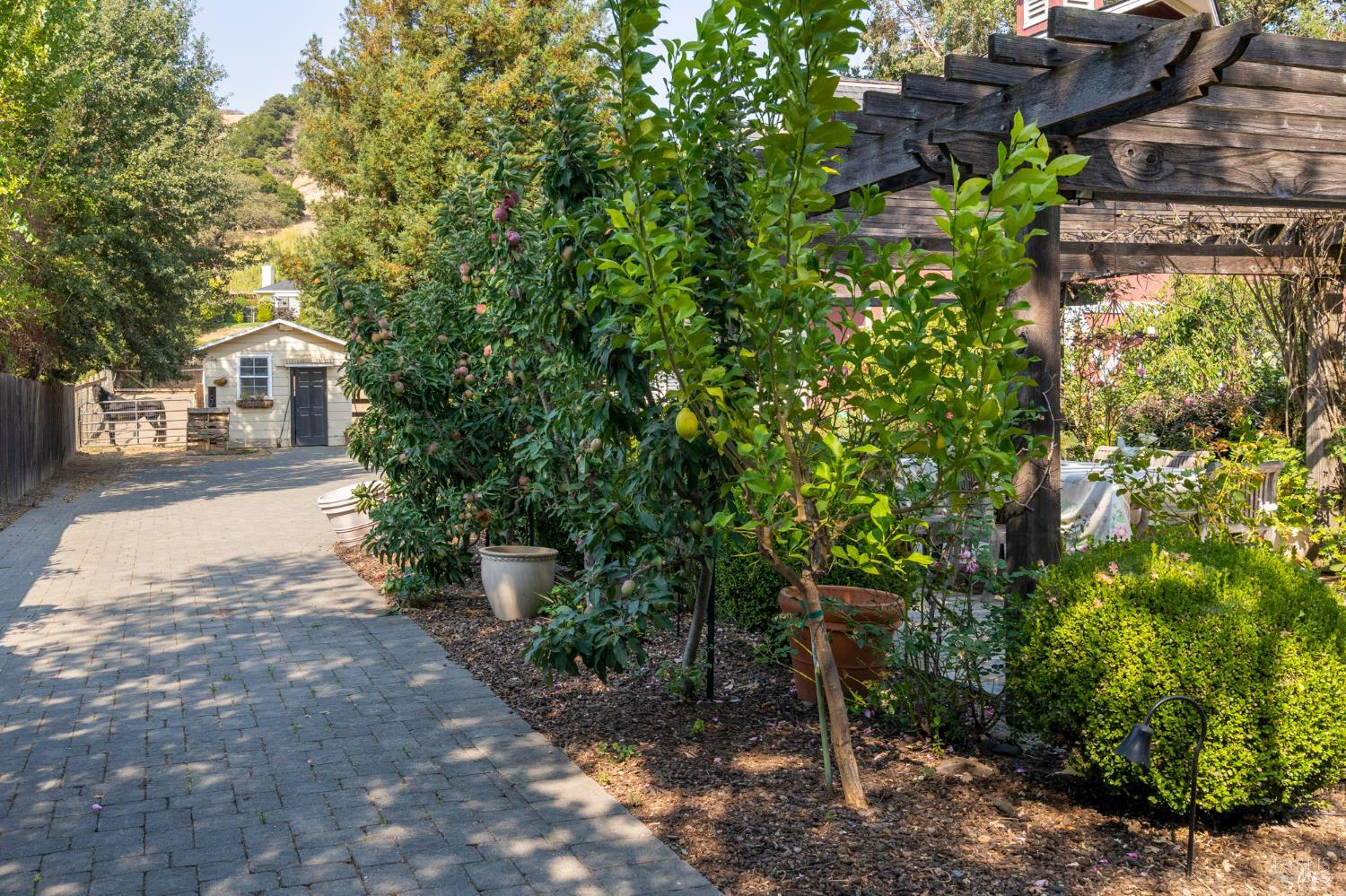 1846 Indian Valley Road Novato, CA 94947 - Photo 30 of 47