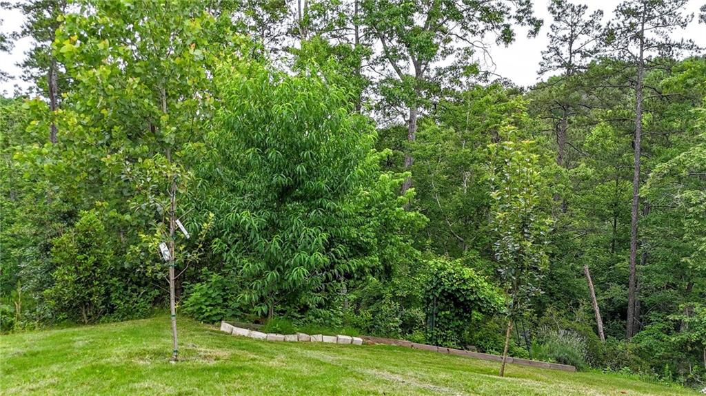 35 Bridgestone Way Cartersville, GA 30120 - Photo 47 of 60