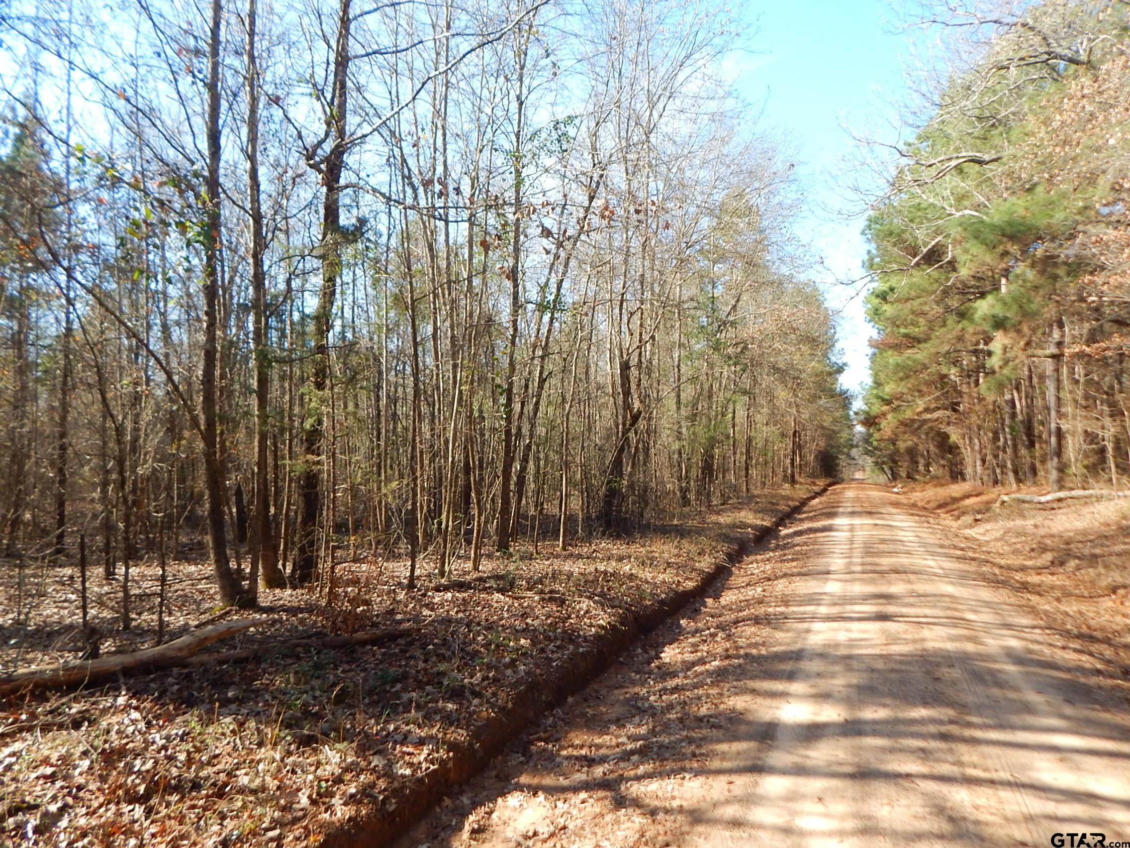 450 County Road Marietta, TX 75566 - Photo 1 of 1 Gallery Image 1