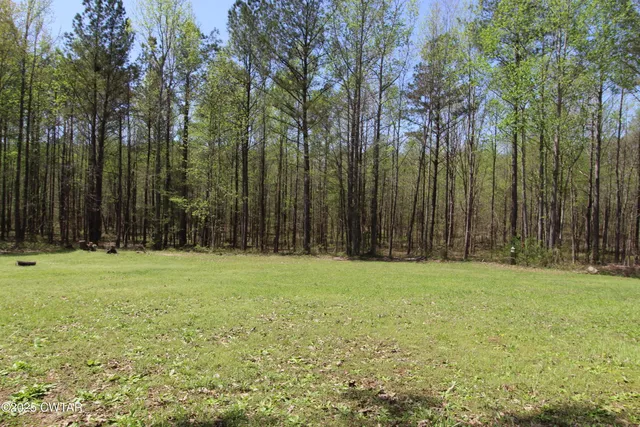 $219,000 | 320 Benson Road, Enville, TN 38332