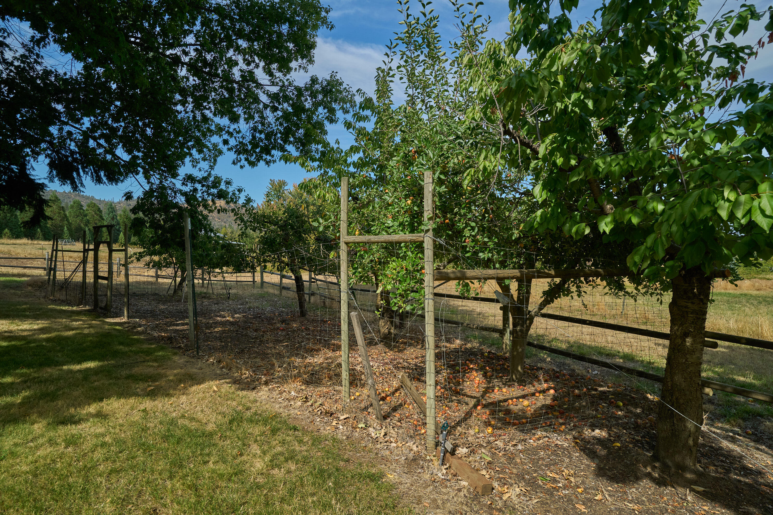 3095 Burrell Road Medford, OR 97501 - Photo 55 of 70 3095 Burrell_Medford-55
