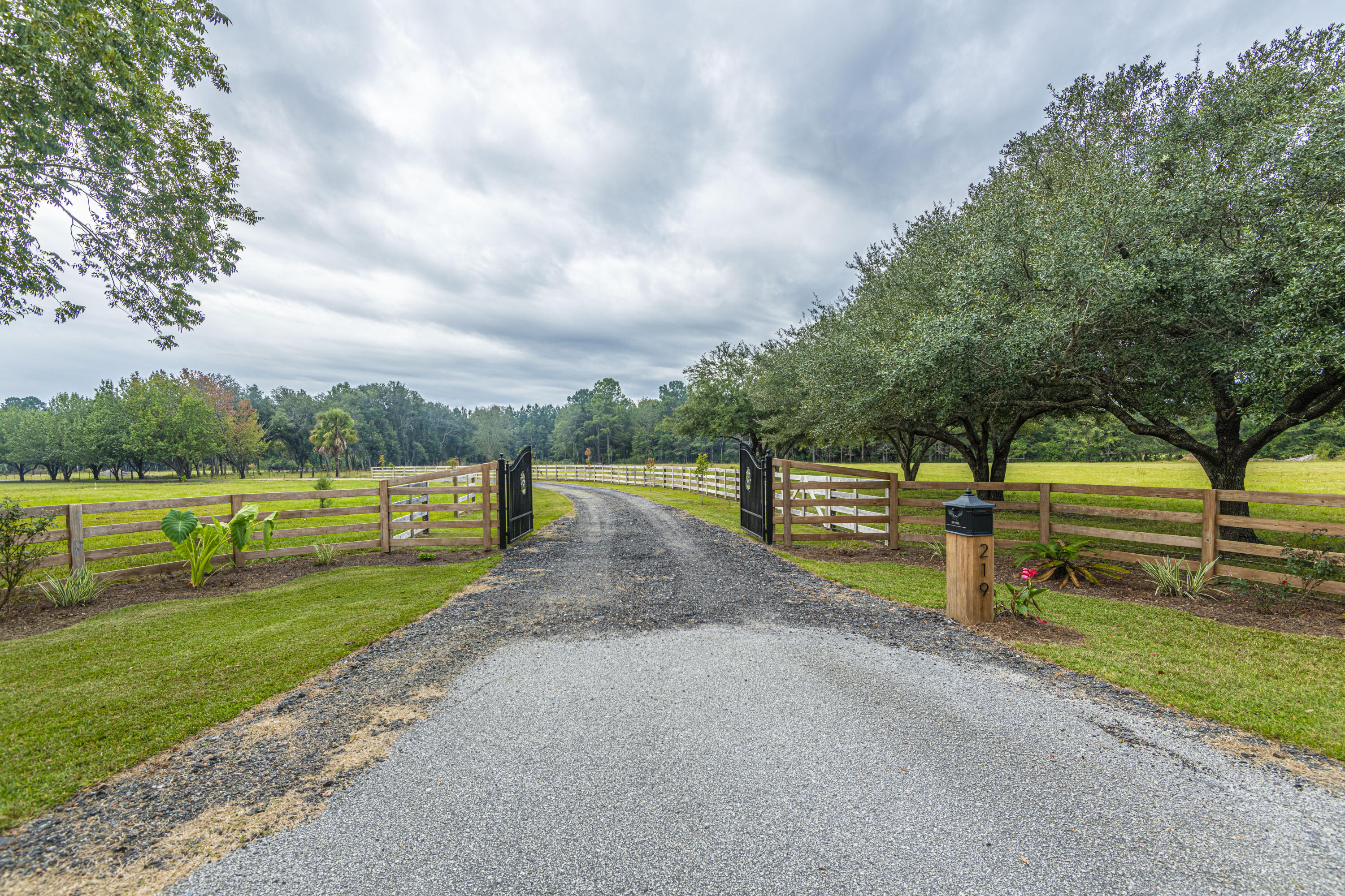 219 County Rd S-18-321 Harleyville, SC 29448 - Photo 1 of 65 DSC_3730