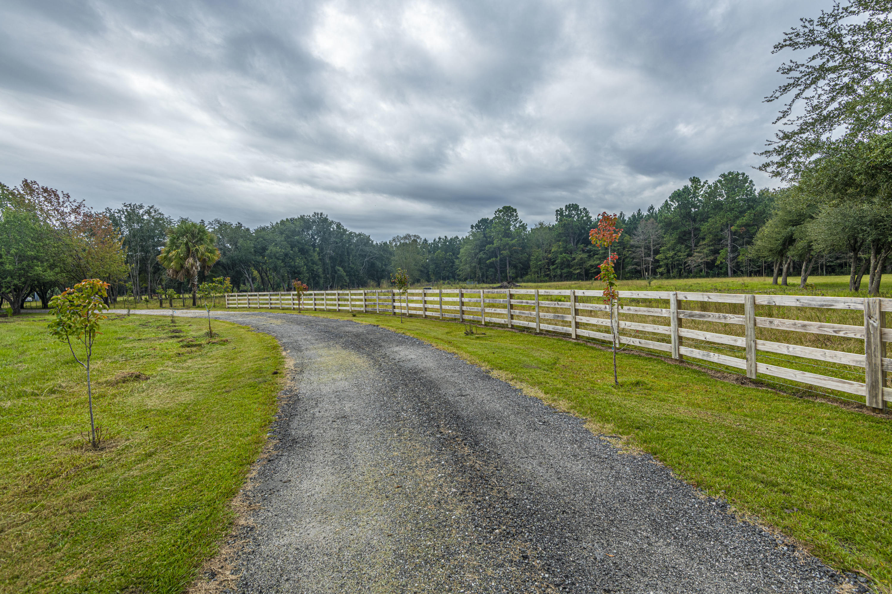 219 County Rd S-18-321 Harleyville, SC 29448 - Photo 3 of 65 DSC_3733