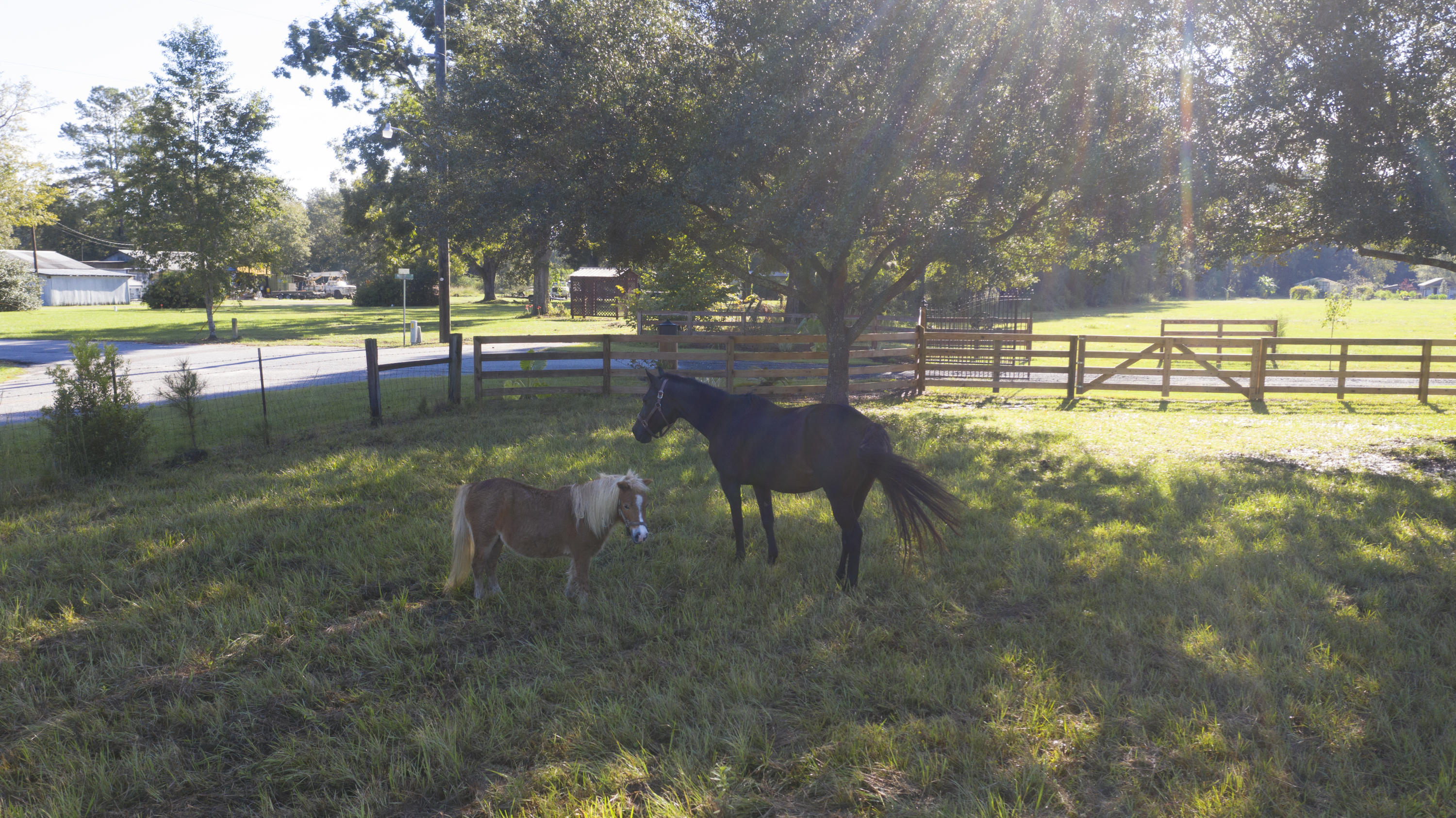 219 County Rd S-18-321 Harleyville, SC 29448 - Photo 4 of 65 Mill_NoEdit_040