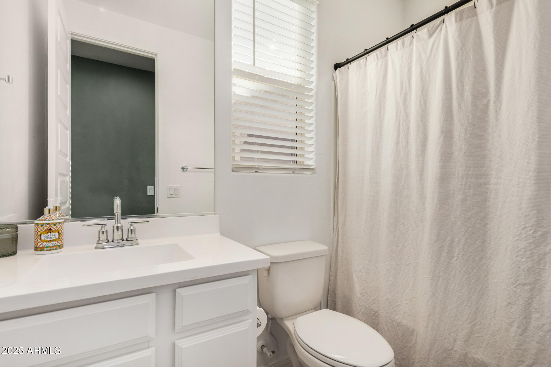 2652 South Prospector Point Road Apache Junction, AZ 85119 - Photo 22 of 37 a bathroom with a sink a toilet and shower curtain