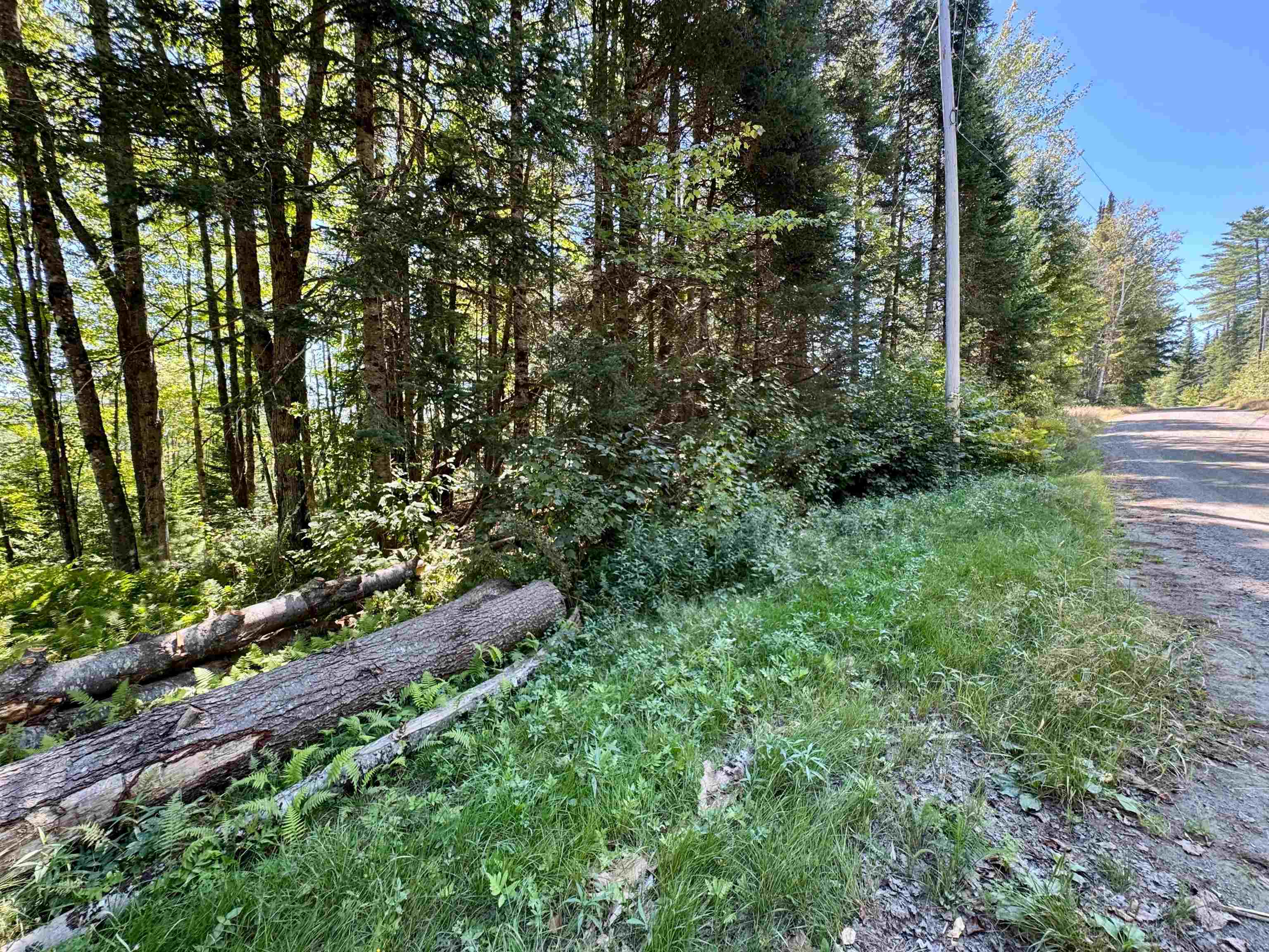 0 Bog Road Stratford, NH 03590 - Photo 6 of 10