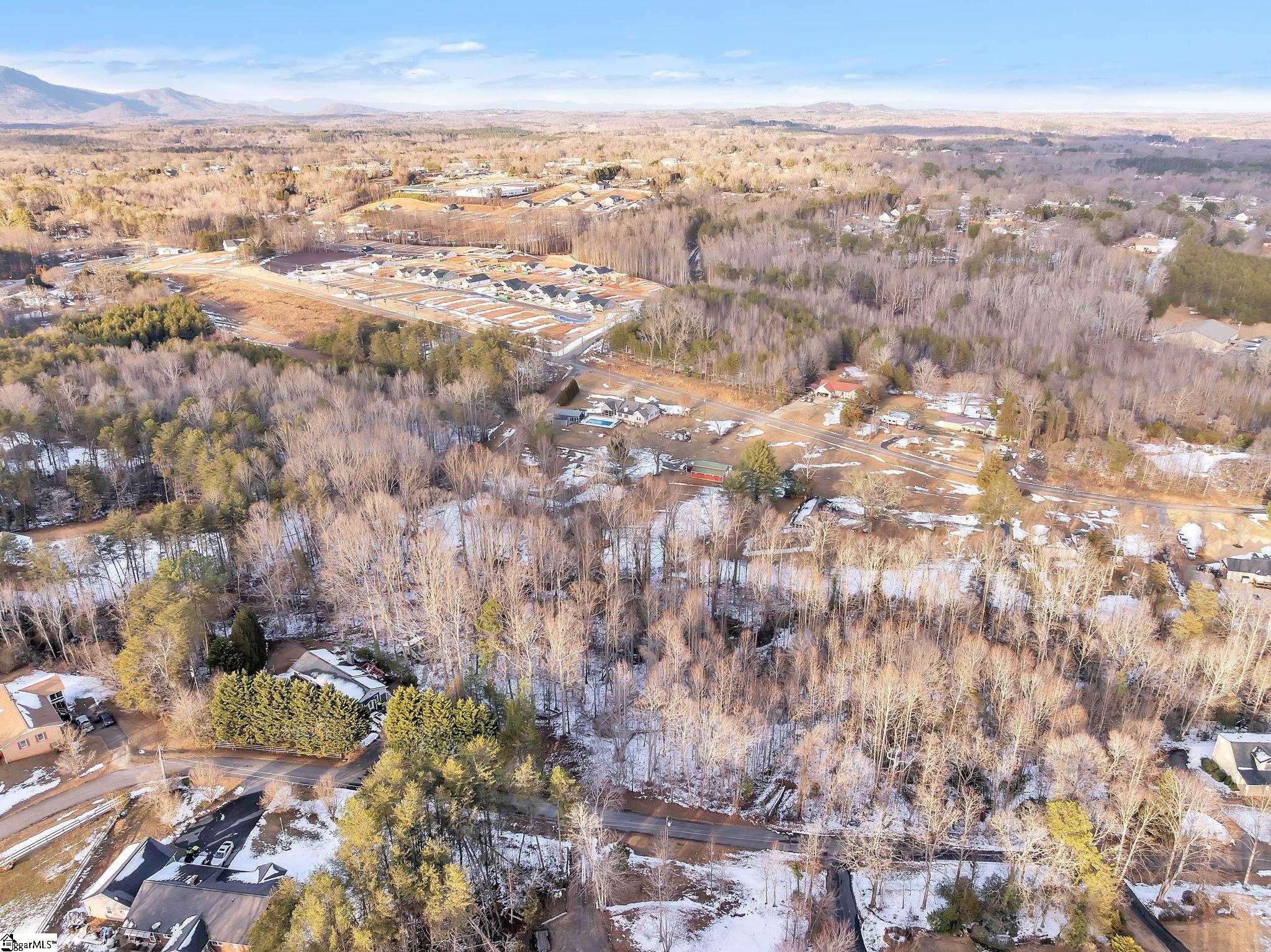 101 Jason Road Landrum, SC 29356 - Photo 4 of 10