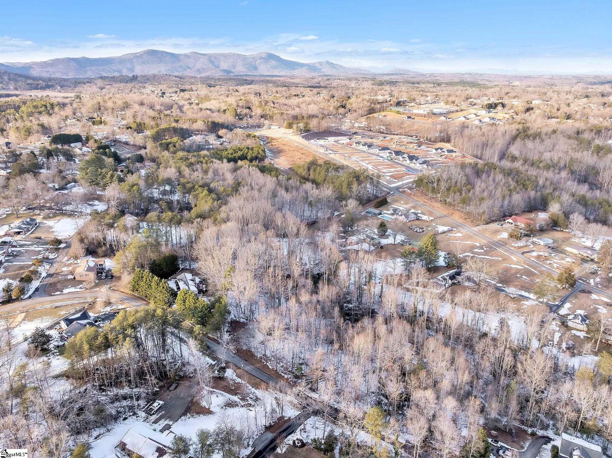 101 Jason Road Landrum, SC 29356 - Photo 8 of 10