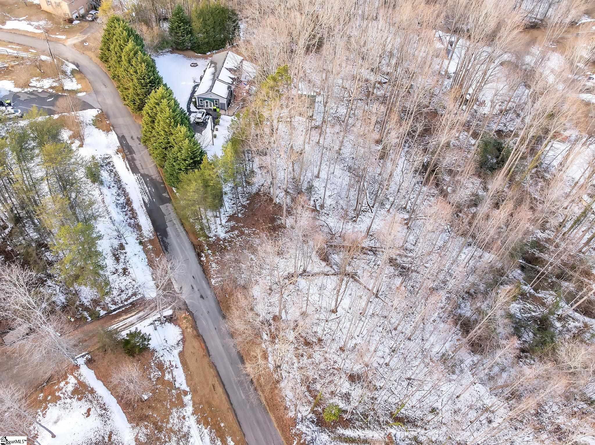 101 Jason Road Landrum, SC 29356 - Photo 9 of 10