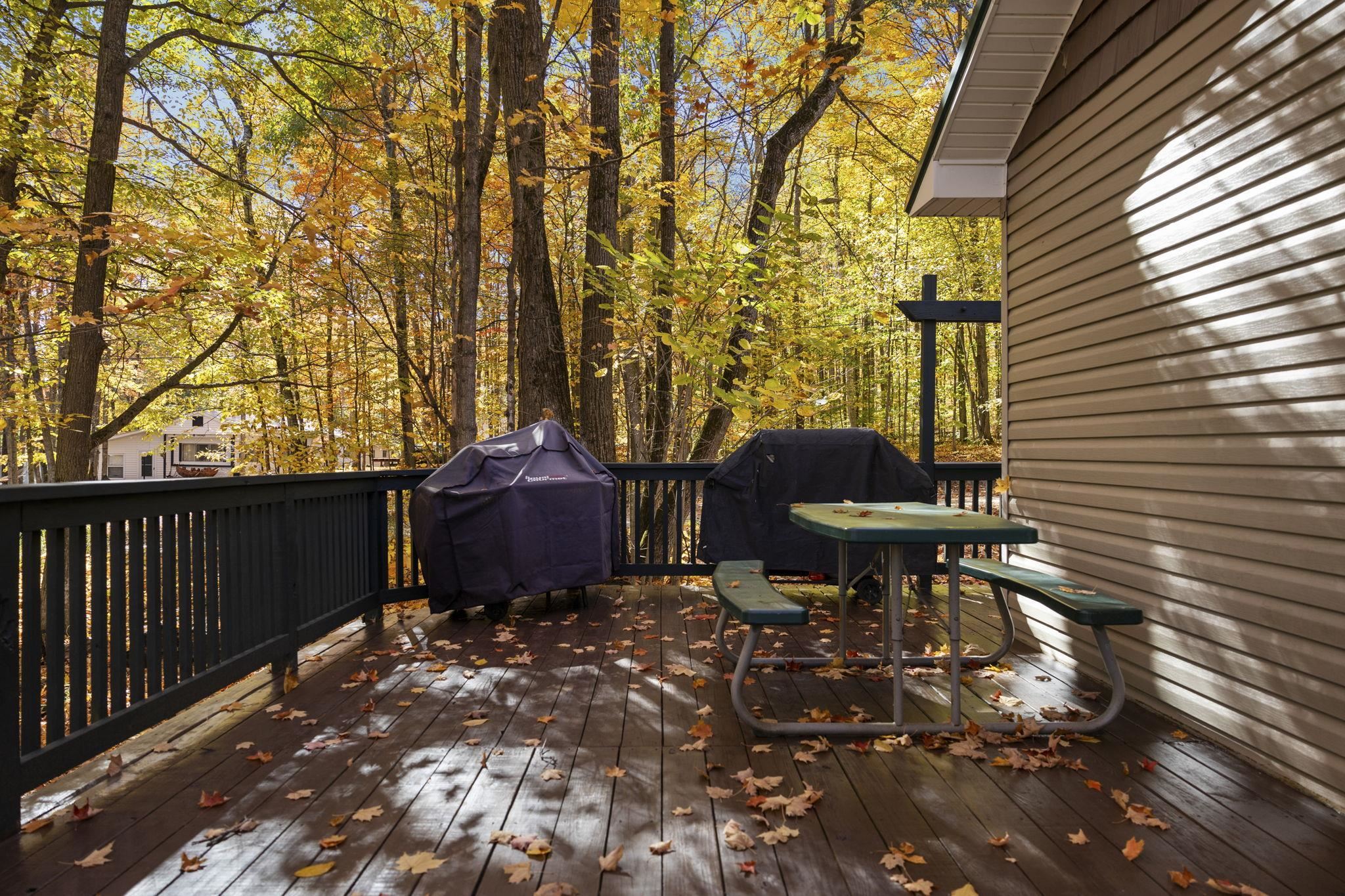 7149 West Blue Lake Road Northeast Kalkaska, MI 49646 - Photo 15 of 67