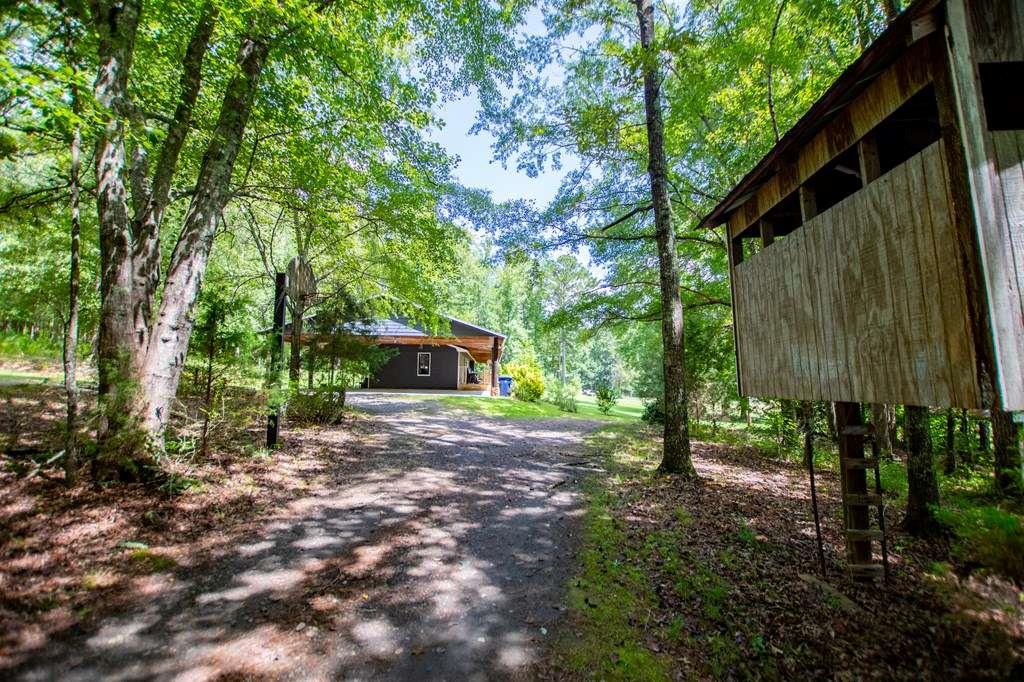 323 Newman Road Franklin, GA 30217 - Photo 2 of 47 a backyard of a house with lots of green space