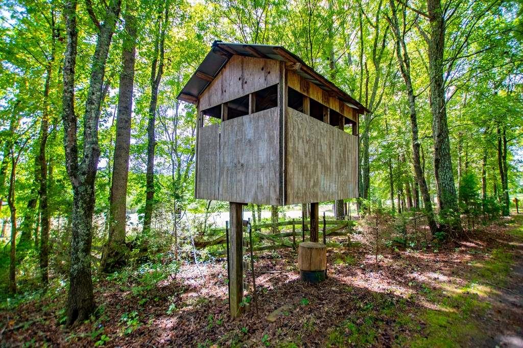 323 Newman Road Franklin, GA 30217 - Photo 27 of 47 a house view with a garden space