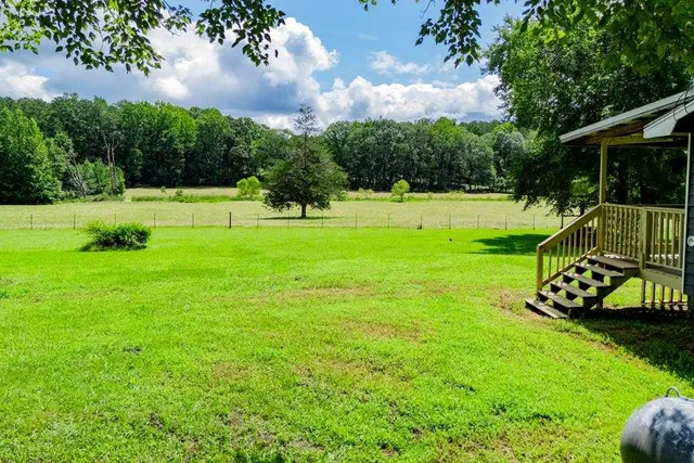 a view of a garden with a slide