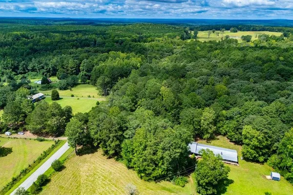 a view of a yard with large trees