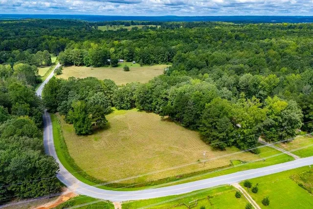 a view of a swimming pool with a yard and large trees