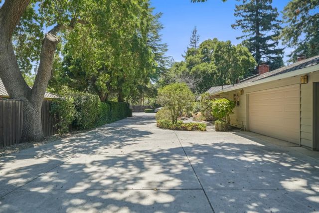 a view of a yard with plants and trees