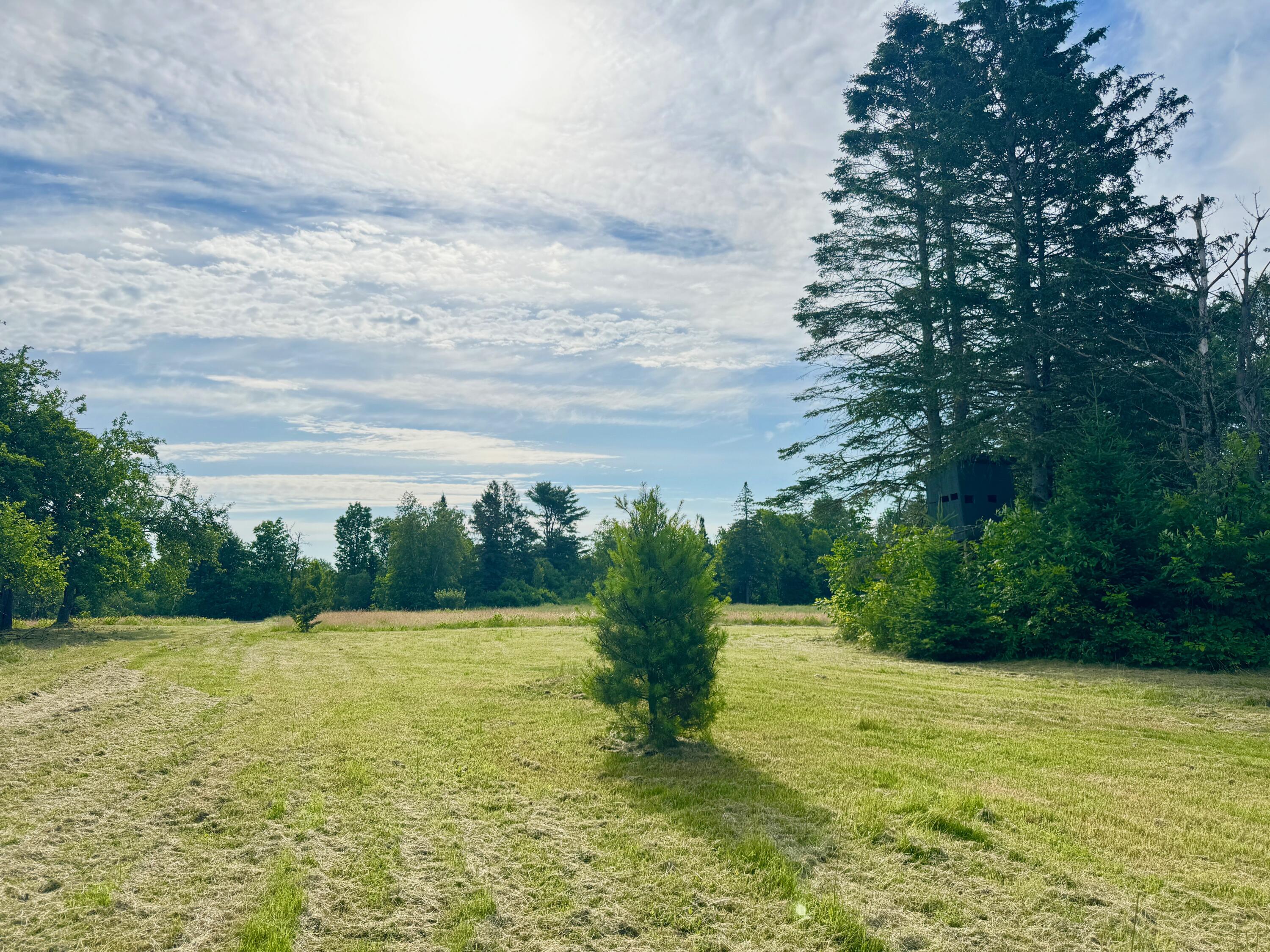 Lot #37 Hewitt Road Dover-Foxcroft, ME 04426 - Photo 9 of 13 IMG_9231
