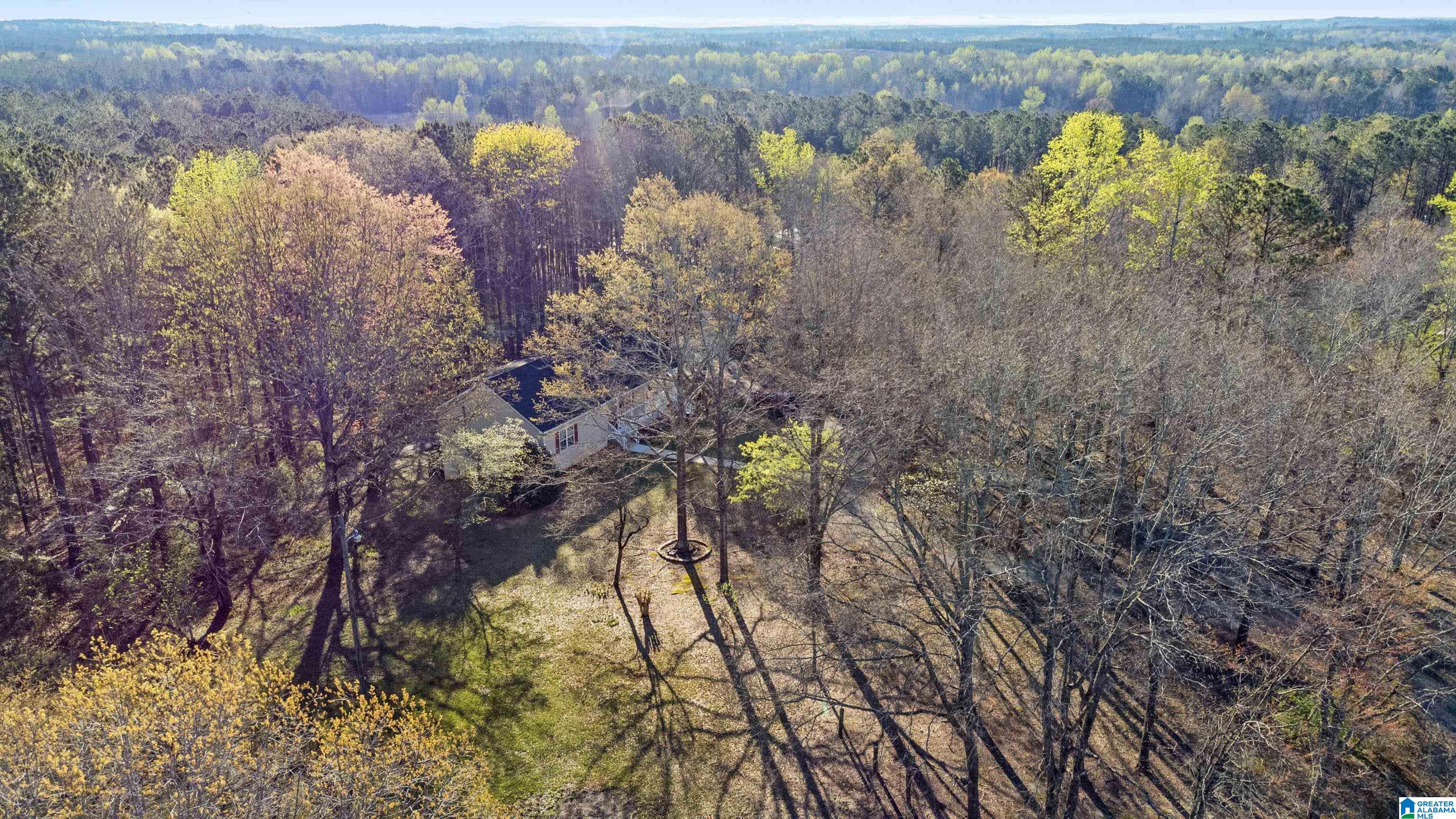 15284 Highway 139 Randolph, AL 36792 - Photo 33 of 38