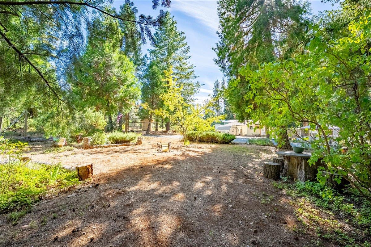 1340 Paymaster Mine Road Georgetown, CA 95634 - Photo 33 of 42 Gallery Image 33