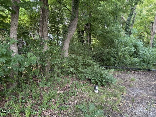 802 Walser Place Raleigh, NC 27601 - Photo 6 of 18 IMG_0558