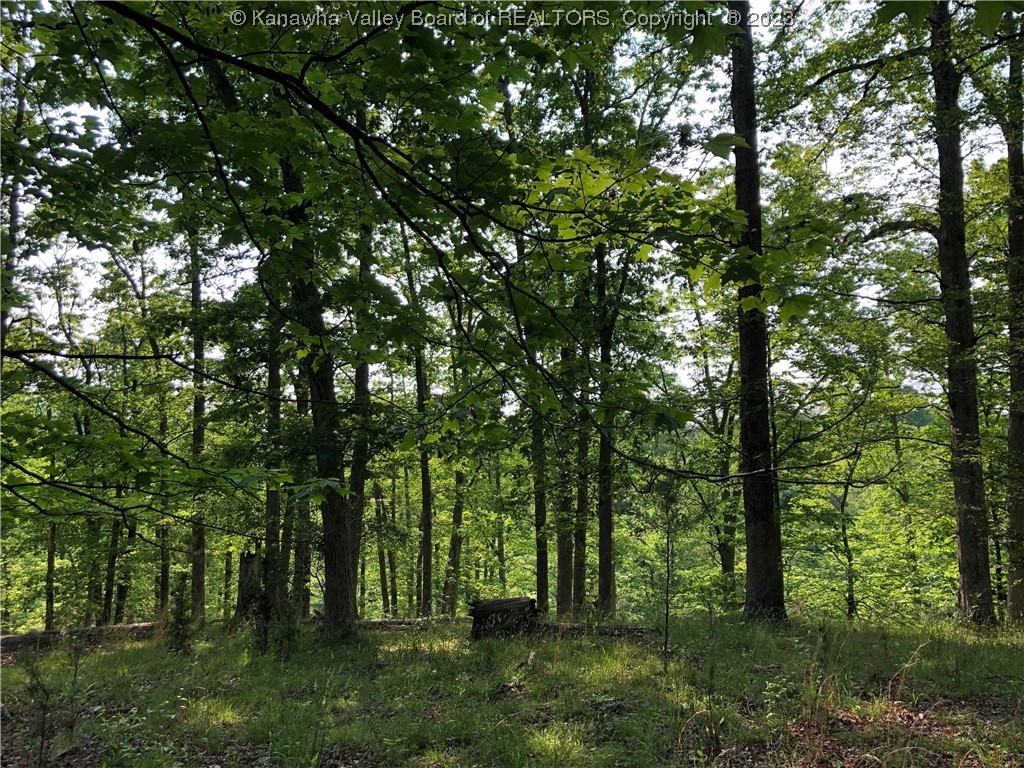 1851 Elk Fork Road Gay, WV 25244 - Photo 13 of 22 Gallery Image 13