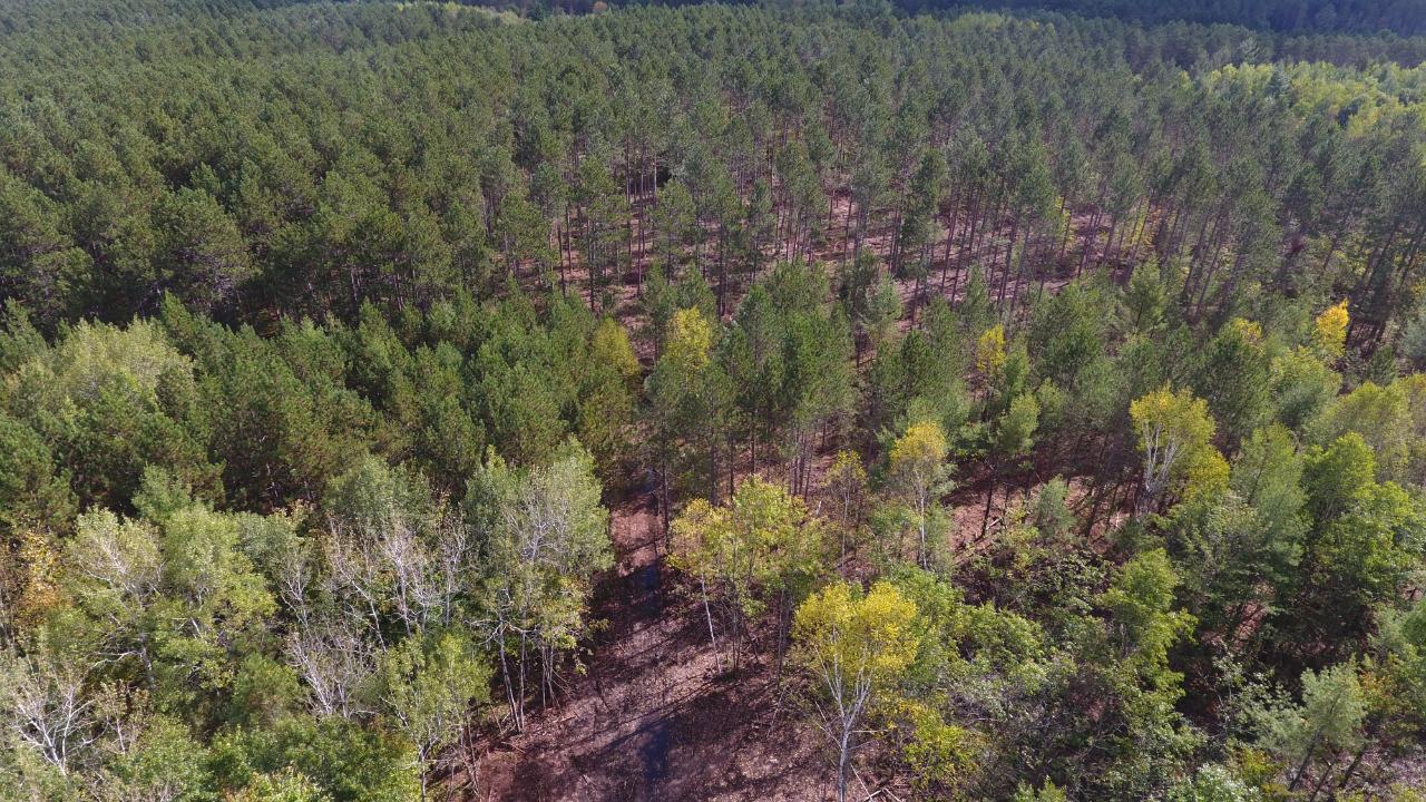 On On Pine Square Road, Unit 11 9 ACRES Tomahawk, WI 54487 - Photo 3 of 20 Gallery Image 3