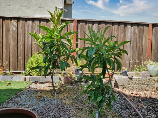 $850,000 | 8842 Blue River Drive, Vallejo, CA 94591