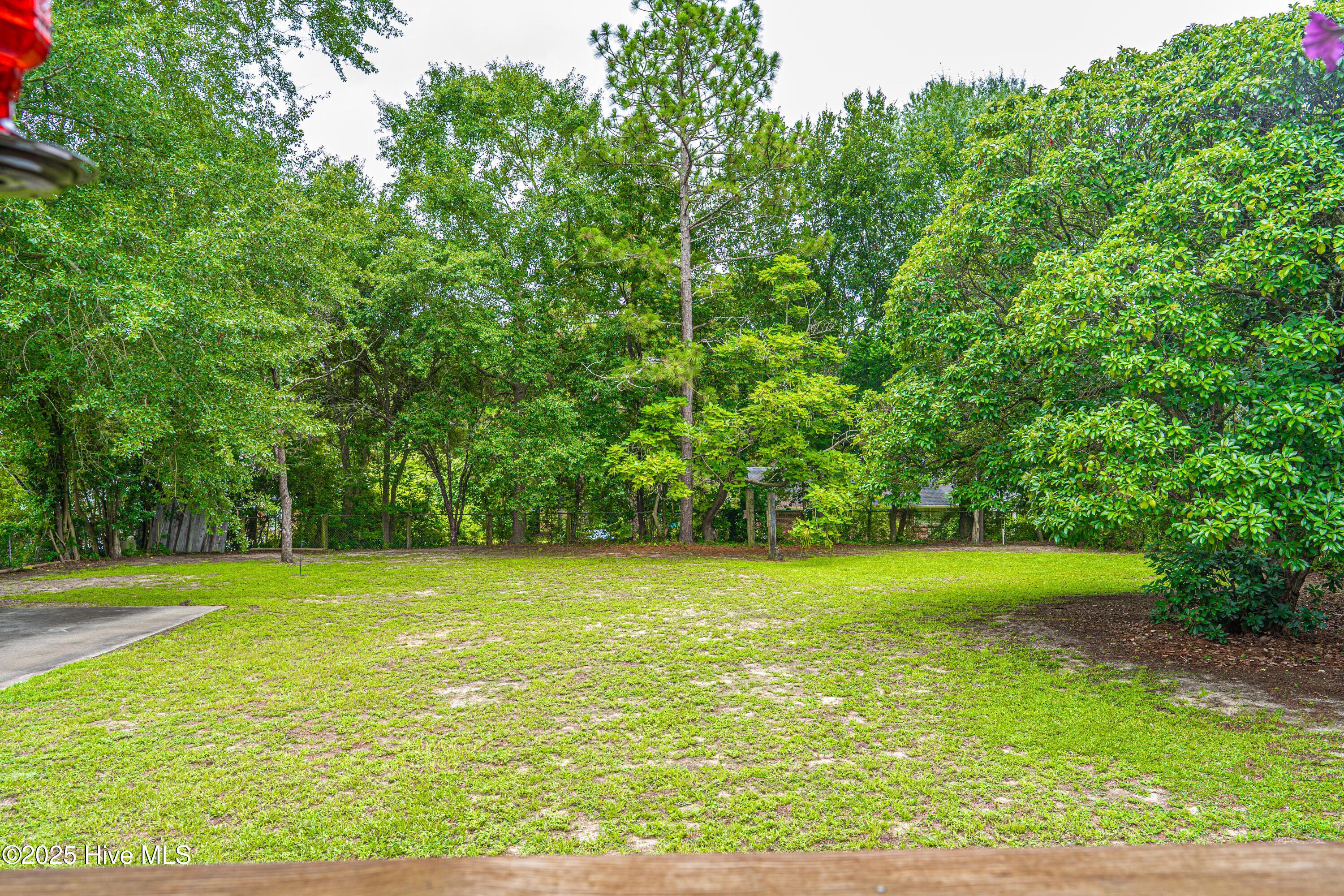 817 Austin Street Hamlet, NC 28345 - Photo 49 of 58 DSC00500
