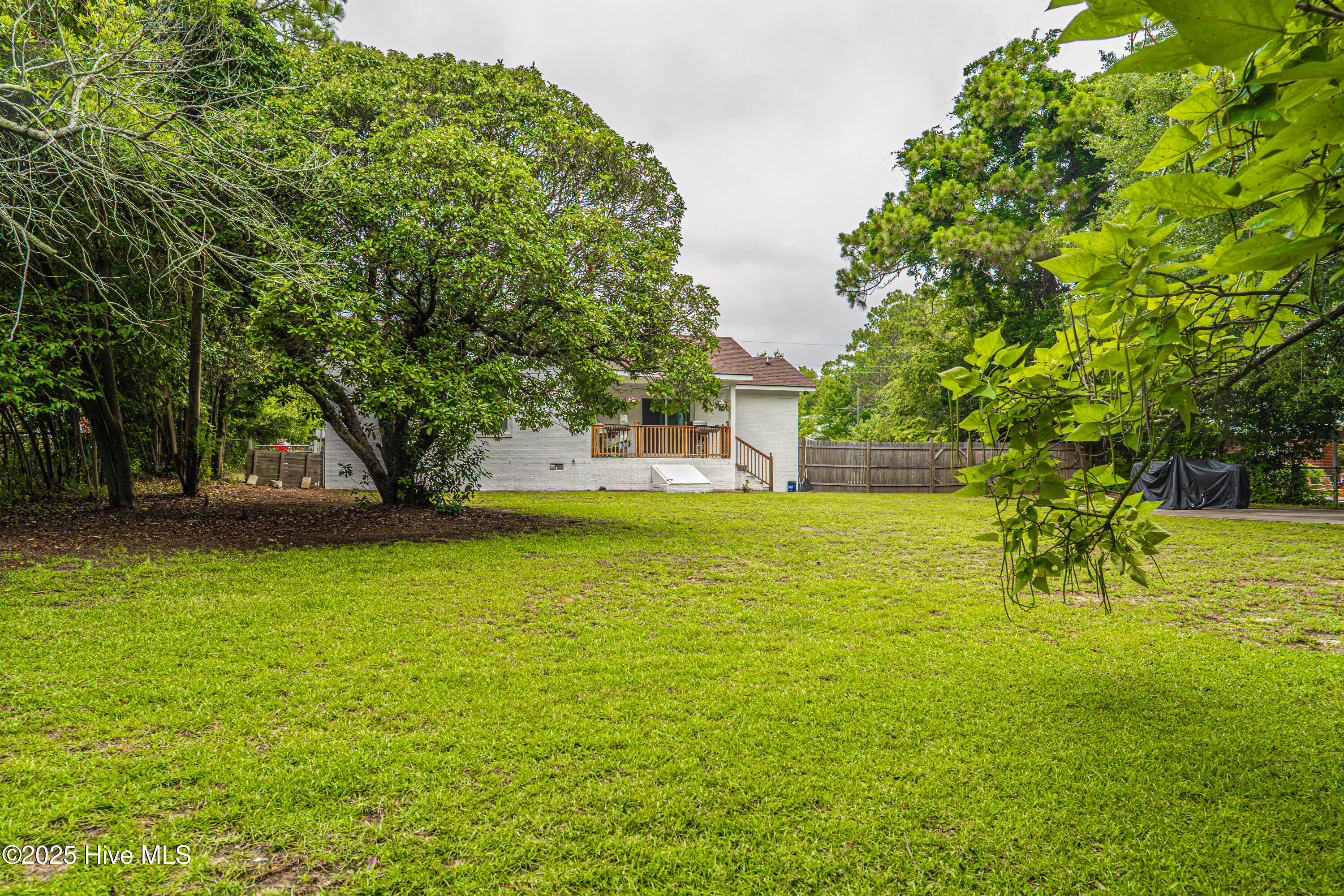 817 Austin Street Hamlet, NC 28345 - Photo 54 of 58 DSC00506