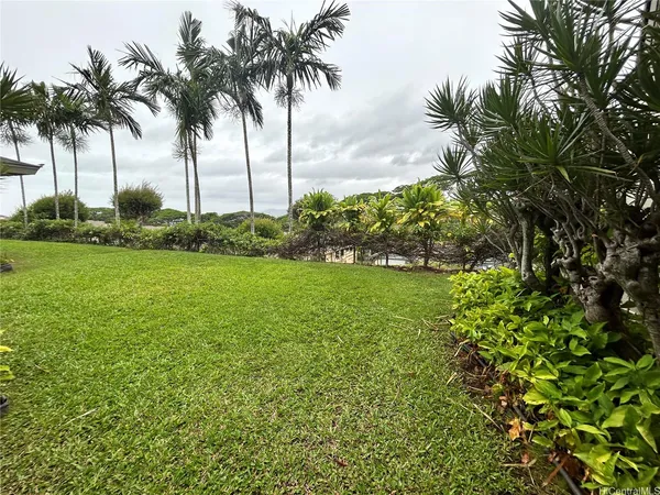 a view of three tall trees
