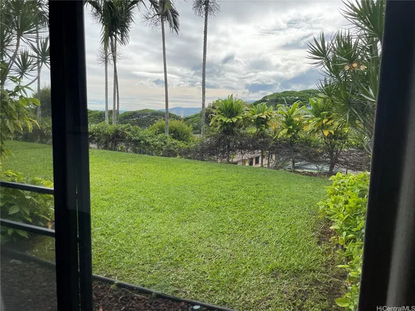 a view of a garden from a window