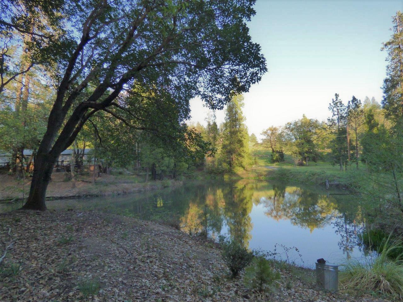 6520 Tunnel Loop Road Grants Pass, OR 97526 - Photo 45 of 69 a view of a lake with a tree