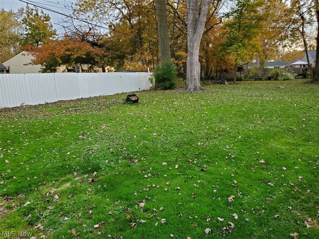 4751 Forest Road Mentor, OH 44060 - Photo 4 of 24 2 LOTS. LARGE BACK YARD