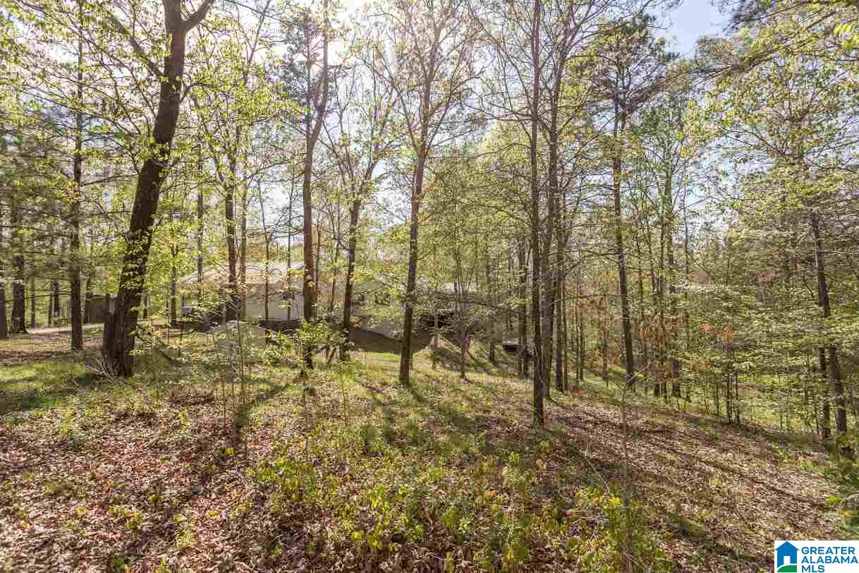 2172 Ross Lake Road Wellington, AL 36279 - Photo 37 of 45