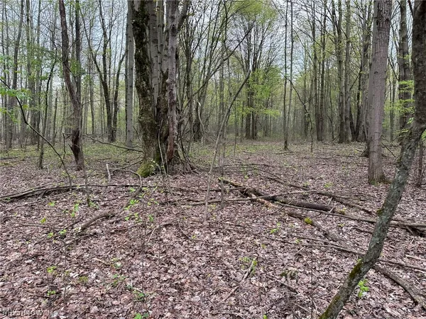 $298,000 | Stanhope-kelloggsville Stanhope-Kelloggsville Road, Kingsville, OH 44048
