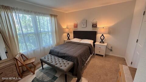 4935 Nebula Lane Jacksonville, FL 32256 - Photo 8 of 12 a bedroom with a bed and a couch