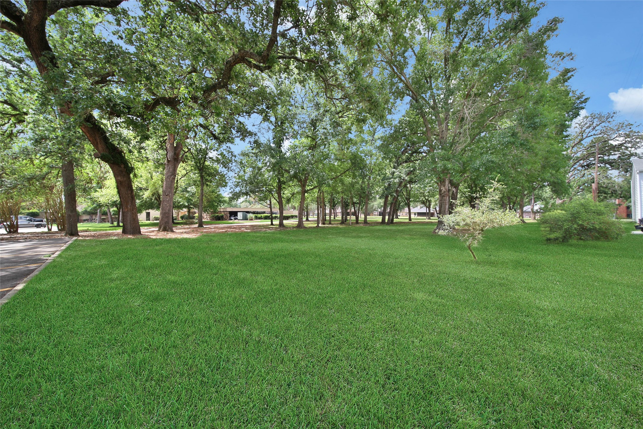 13151 Walden Road, Unit 119 Montgomery, TX 77356 - Photo 4 of 28 Enjoy a spacious, lush green lawn with mature trees providing ample shade, creating a serene and inviting outdoor space. Perfect for relaxation and outdoor activities.