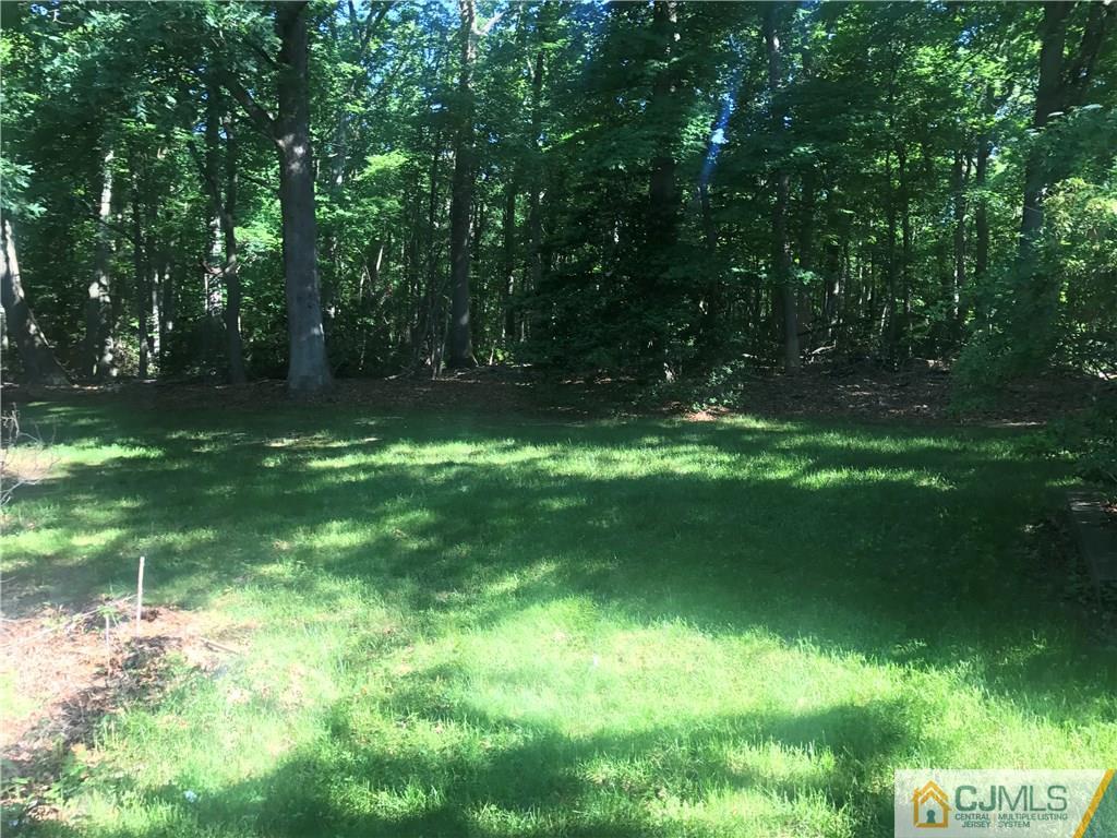26 Francis Road East Brunswick, NJ 08816 - Photo 21 of 23 a backyard of a house with lots of green space and fountain