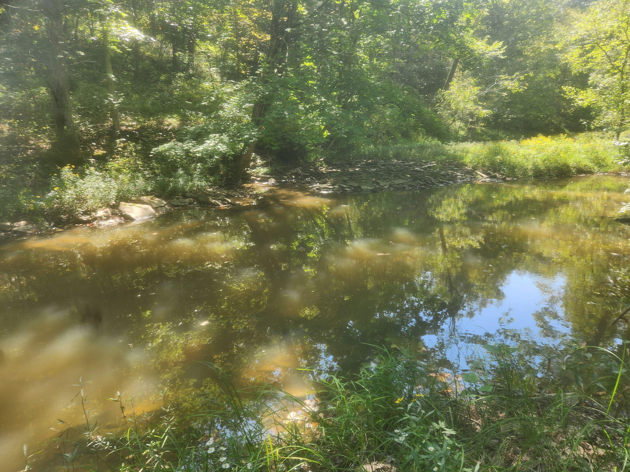 3926 Hogg Ridge Road Williamstown, KY 41097 - Photo 81 of 92 1000004558