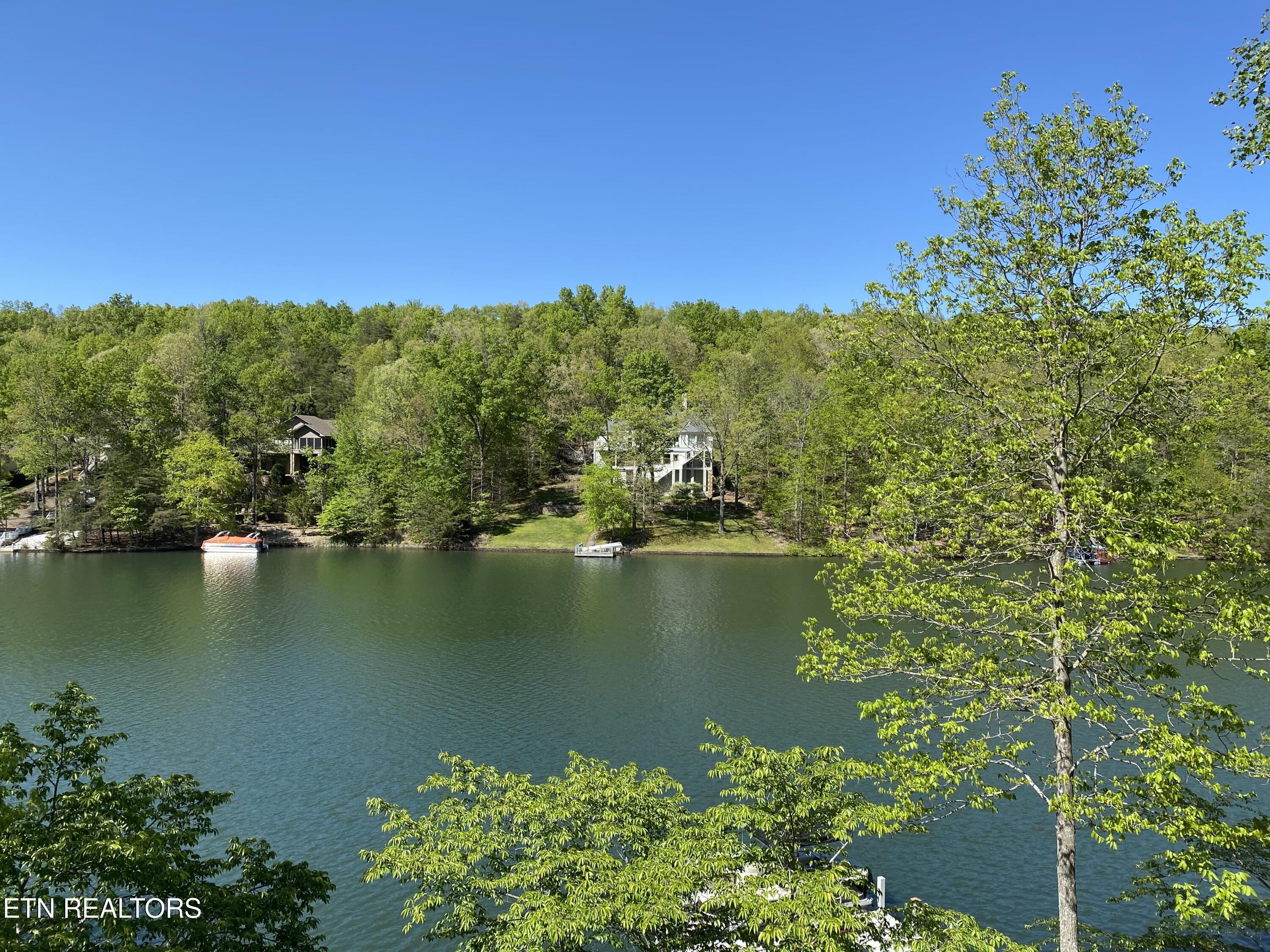 145 Pineridge Loop Crossville, TN 38558 - Photo 56 of 57 Lake view summer