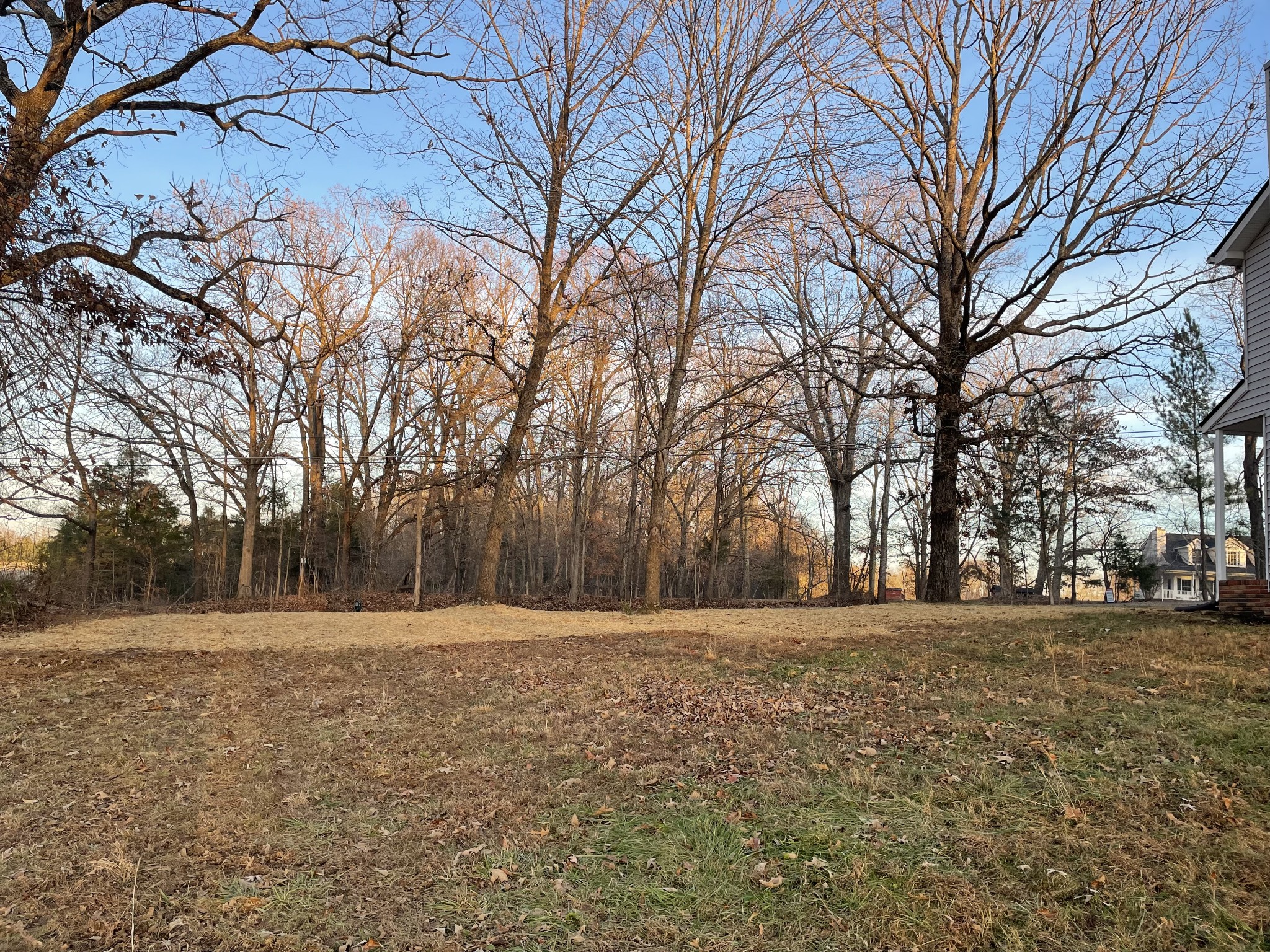 3060 Lylewood Road Woodlawn, TN 37191 - Photo 37 of 56 a backyard of apartments with large trees
