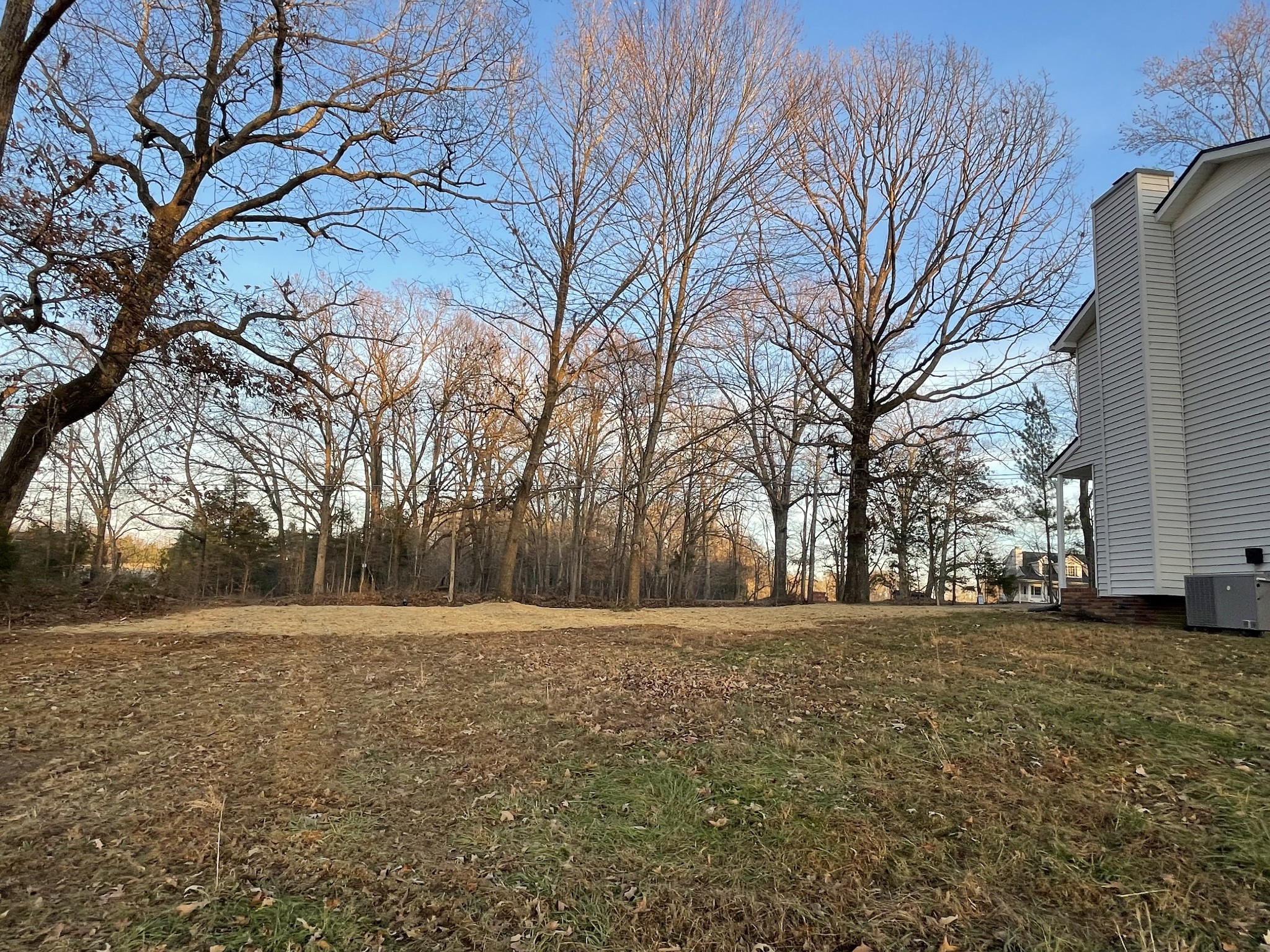 3060 Lylewood Road Woodlawn, TN 37191 - Photo 38 of 56 a view of a yard with large trees