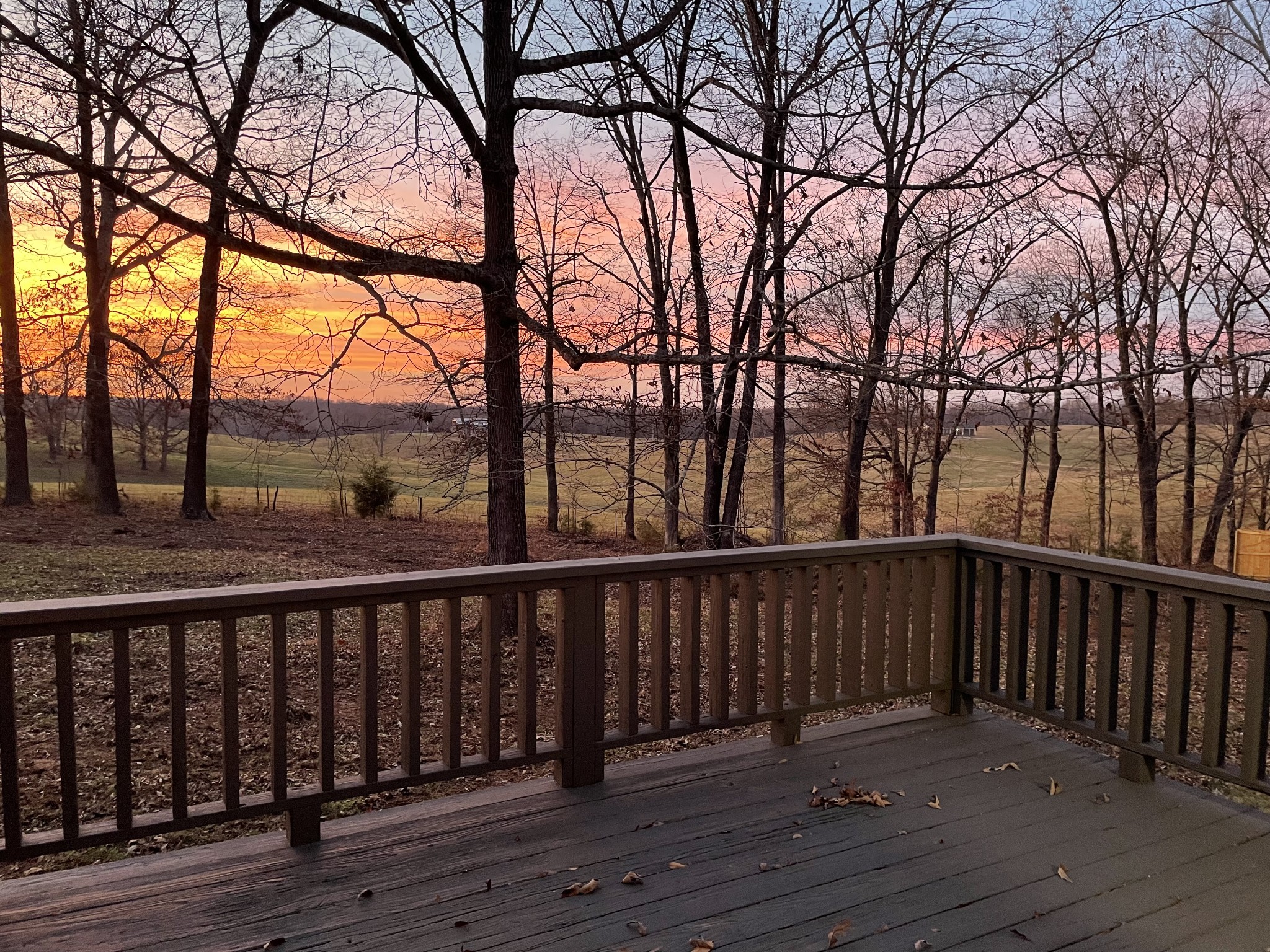 3060 Lylewood Road Woodlawn, TN 37191 - Photo 54 of 56 a balcony with wooden floor and trees