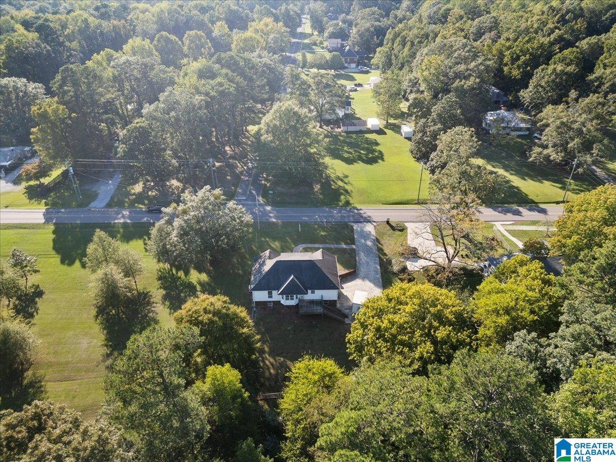 3641 Mt Olive Road Mount Olive, AL 35117 - Photo 33 of 35
